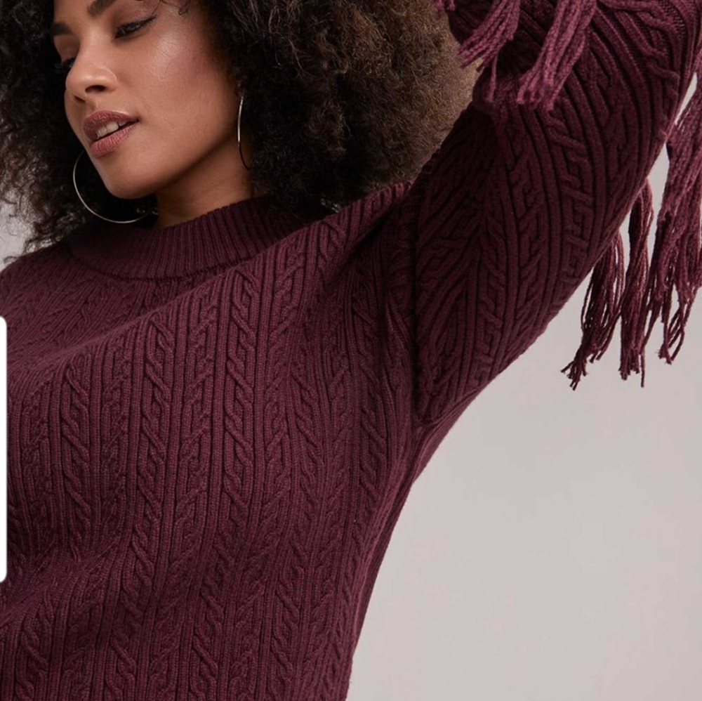 ❣ Racheal Roy trendy plus size tassel trim sweater